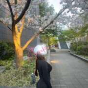 ヒメ日記 2025/04/08 19:42 投稿 井川 まりか(いがわまりか) 東京ヒストリー lettre d'amour