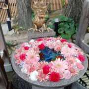 ヒメ日記 2025/01/03 14:28 投稿 松山えり 五十路マダム 新潟店(カサブランカグループ)