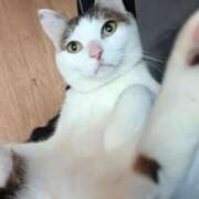 ヒメ日記 2025/01/07 20:26 投稿 松山えり 五十路マダム 新潟店(カサブランカグループ)