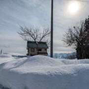 ヒメ日記 2025/01/14 21:30 投稿 松山えり 五十路マダム 新潟店(カサブランカグループ)