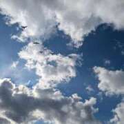 ヒメ日記 2025/01/27 13:10 投稿 松山えり 五十路マダム 新潟店(カサブランカグループ)