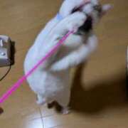 ヒメ日記 2025/02/03 22:14 投稿 松山えり 五十路マダム 新潟店(カサブランカグループ)