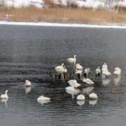 ヒメ日記 2025/02/21 20:36 投稿 松山えり 五十路マダム 新潟店(カサブランカグループ)
