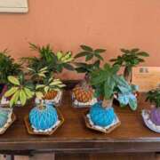 ヒメ日記 2025/02/24 22:54 投稿 松山えり 五十路マダム 新潟店(カサブランカグループ)