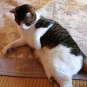 ヒメ日記 2025/02/27 23:34 投稿 松山えり 五十路マダム 新潟店(カサブランカグループ)