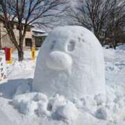 ヒメ日記 2025/03/07 12:30 投稿 松山えり 五十路マダム 新潟店(カサブランカグループ)