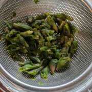 ヒメ日記 2025/03/16 14:00 投稿 松山えり 五十路マダム 新潟店(カサブランカグループ)