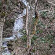 ヒメ日記 2025/04/06 14:50 投稿 松山えり 五十路マダム 新潟店(カサブランカグループ)