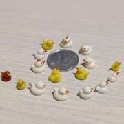 ヒメ日記 2025/06/11 23:38 投稿 松山えり 五十路マダム 新潟店(カサブランカグループ)