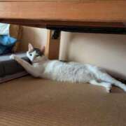 ヒメ日記 2025/07/04 18:50 投稿 松山えり 五十路マダム 新潟店(カサブランカグループ)