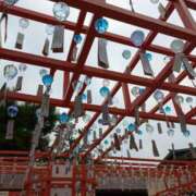 ヒメ日記 2025/07/06 16:12 投稿 松山えり 五十路マダム 新潟店(カサブランカグループ)