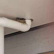 ヒメ日記 2025/07/12 17:40 投稿 松山えり 五十路マダム 新潟店(カサブランカグループ)