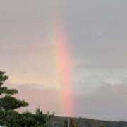 ヒメ日記 2025/07/15 20:04 投稿 松山えり 五十路マダム 新潟店(カサブランカグループ)