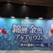 ヒメ日記 2025/08/10 10:40 投稿 松山えり 五十路マダム 新潟店(カサブランカグループ)
