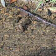 ヒメ日記 2025/09/30 20:30 投稿 松山えり 五十路マダム 新潟店(カサブランカグループ)