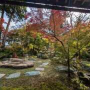 ヒメ日記 2025/11/02 17:48 投稿 松山えり 五十路マダム 新潟店(カサブランカグループ)