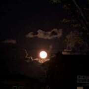 ヒメ日記 2025/11/06 22:04 投稿 松山えり 五十路マダム 新潟店(カサブランカグループ)