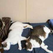 松山えり 撮り鉄の人たちをたくさん見た日 五十路マダム 新潟店(カサブランカグループ)