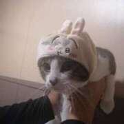 ヒメ日記 2026/01/05 22:00 投稿 松山えり 五十路マダム 新潟店(カサブランカグループ)