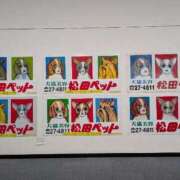 ヒメ日記 2026/04/10 10:08 投稿 松山えり 五十路マダム 新潟店(カサブランカグループ)