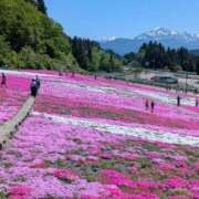 松山えり グーグルストリートビュー 五十路マダム 新潟店(カサブランカグループ)