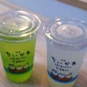 松山えり ちいかわ見たよ 五十路マダム 新潟店(カサブランカグループ)