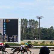 ヒメ日記 2026/08/28 17:34 投稿 松山えり 五十路マダム 新潟店(カサブランカグループ)