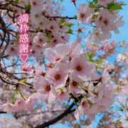 ヒメ日記 2025/04/17 22:06 投稿 りお♡両頭使いの淫乱美人妻♡ 富山高岡ちゃんこ