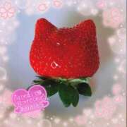 ヒメ日記 2025/04/23 23:20 投稿 りお♡両頭使いの淫乱美人妻♡ 富山高岡ちゃんこ