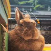 ヒメ日記 2025/05/26 18:21 投稿 りお♡両頭使いの淫乱美人妻♡ 富山高岡ちゃんこ