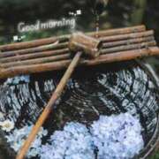 ヒメ日記 2025/06/12 07:03 投稿 りお♡両頭使いの淫乱美人妻♡ 富山高岡ちゃんこ