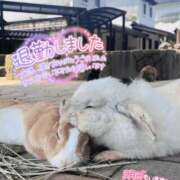 ヒメ日記 2025/06/16 22:06 投稿 りお♡両頭使いの淫乱美人妻♡ 富山高岡ちゃんこ