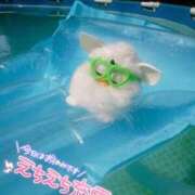 ヒメ日記 2025/06/20 08:20 投稿 りお♡両頭使いの淫乱美人妻♡ 富山高岡ちゃんこ