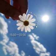 ヒメ日記 2025/07/14 10:29 投稿 りお♡両頭使いの淫乱美人妻♡ 富山高岡ちゃんこ