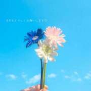 ヒメ日記 2025/08/01 10:07 投稿 りお♡両頭使いの淫乱美人妻♡ 富山高岡ちゃんこ