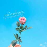 ヒメ日記 2025/08/25 09:29 投稿 りお♡両頭使いの淫乱美人妻♡ 富山高岡ちゃんこ