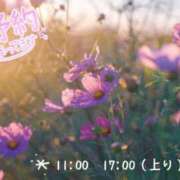 ヒメ日記 2025/09/08 18:23 投稿 りお♡両頭使いの淫乱美人妻♡ 富山高岡ちゃんこ