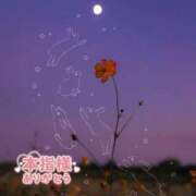 ヒメ日記 2025/09/19 00:29 投稿 りお♡両頭使いの淫乱美人妻♡ 富山高岡ちゃんこ