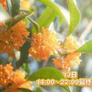 ヒメ日記 2025/10/10 17:27 投稿 りお♡両頭使いの淫乱美人妻♡ 富山高岡ちゃんこ