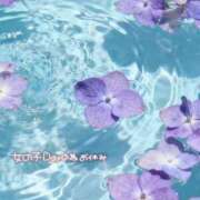 りお♡両頭使いの淫乱美人妻♡ 火曜日はお休みに🙇‍♀️ 富山高岡ちゃんこ