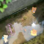 ヒメ日記 2026/07/17 13:04 投稿 りお♡両頭使いの淫乱美人妻♡ 富山高岡ちゃんこ