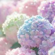 ヒメ日記 2025/06/30 09:09 投稿 美原理子 Matriarch(マトリアルカ)