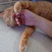 ヒメ日記 2025/09/06 20:02 投稿 美原理子 Matriarch(マトリアルカ)