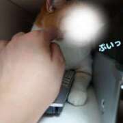 ヒメ日記 2025/09/13 16:58 投稿 美原理子 Matriarch(マトリアルカ)