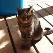 ヒメ日記 2025/11/24 11:58 投稿 美原理子 Matriarch(マトリアルカ)