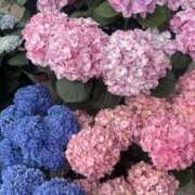 ヒメ日記 2025/06/21 14:06 投稿 なのは 奥鉄オクテツ兵庫