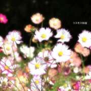 ヒメ日記 2025/10/06 10:37 投稿 もえ リッチドールフェミニン