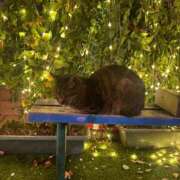 ヒメ日記 2026/01/13 19:57 投稿 もえ リッチドールフェミニン