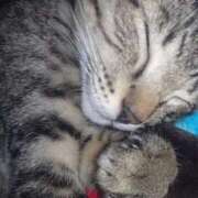 ヒメ日記 2026/01/23 10:17 投稿 もえ リッチドールフェミニン