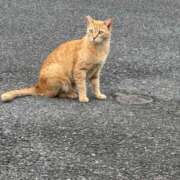 ヒメ日記 2026/01/31 08:33 投稿 もえ リッチドールフェミニン